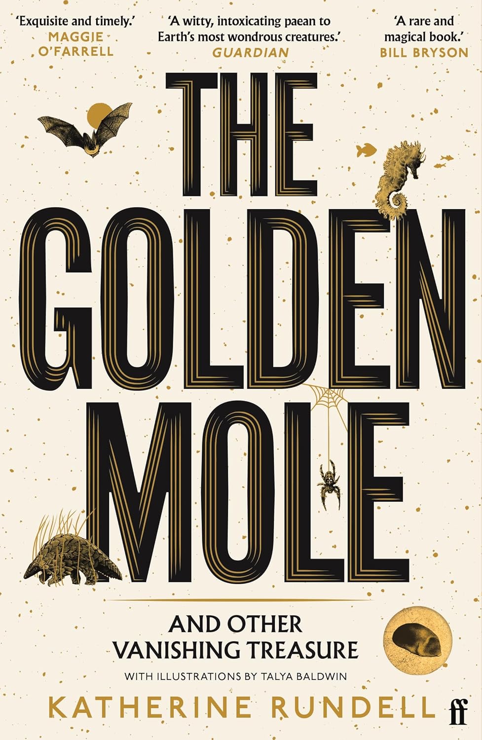 Golden mole