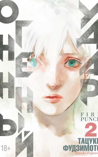 Огненный удар. Книга 2