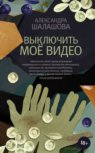 Выключить моё видео