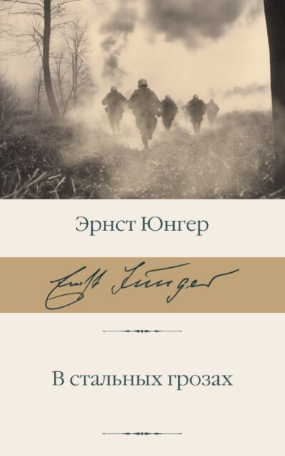 В стальных грозах