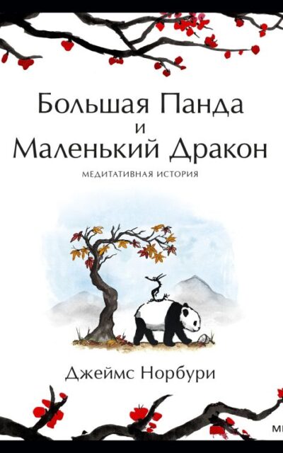 Большая Панда и Маленький Дракон. Медитативная история