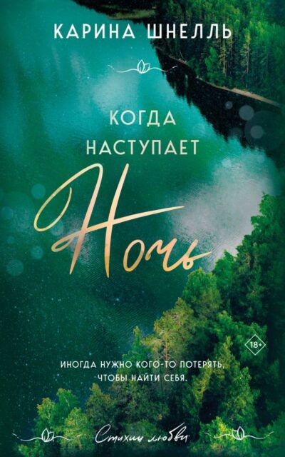 Когда наступает ночь