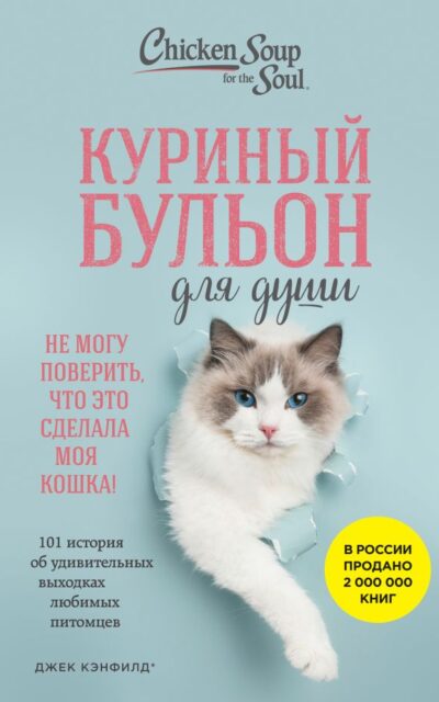 Куриный бульон для души. Не могу поверить, что это сделала моя кошка!