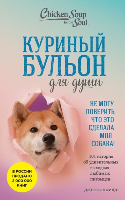 Куриный бульон для души. Не могу поверить, что это сделала моя собака!