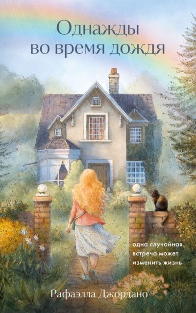 Однажды во время дождя. Одна случайная встреча может изменить жизнь