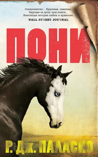 Пони