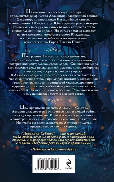Академия Сейгард. Город тысячи пещер