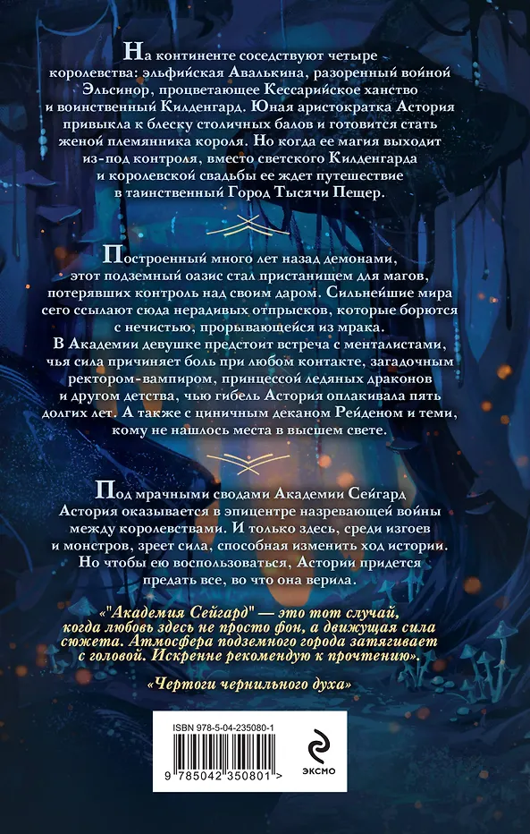 Академия Сейгард. Город тысячи пещер