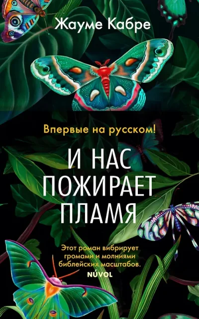 И нас пожирает пламя